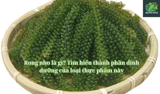 Rong nho là gì? Tìm hiểu thành phần dinh dưỡng của loại thực phẩm này